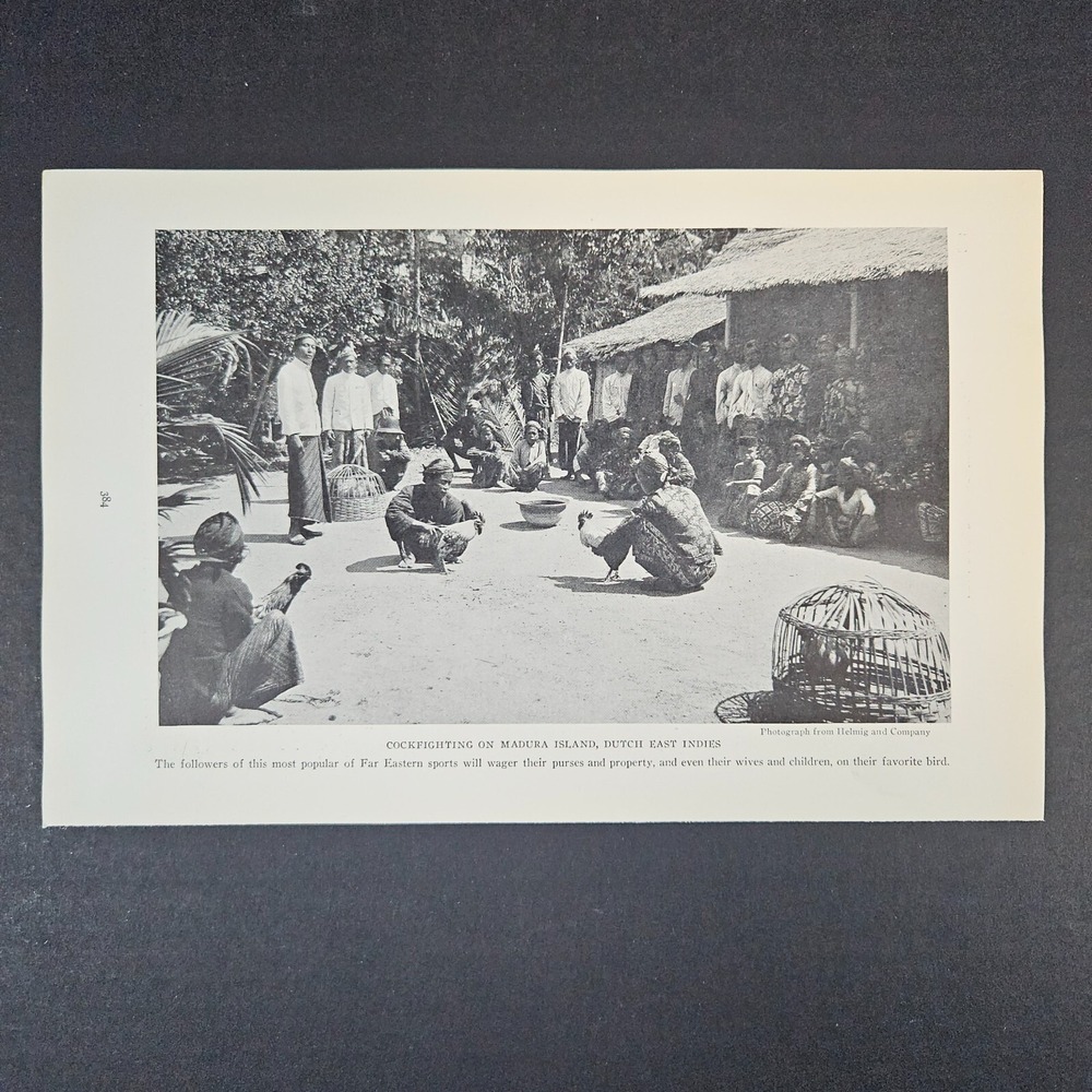 1927 Magazine Page Photo Madura Island Dutch‎ East Indies by Helmig & Company